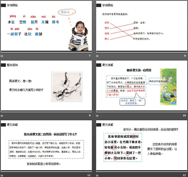 《小虾》PPT课件免费下载