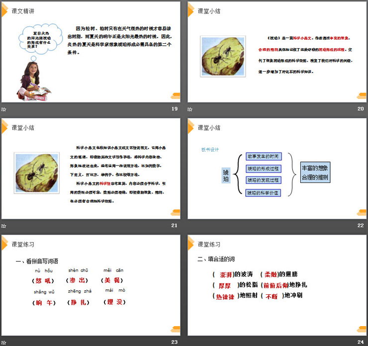 《琥珀》PPT下載