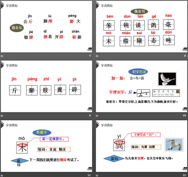 《飛向藍(lán)天的恐龍》PPT課件免費(fèi)下載