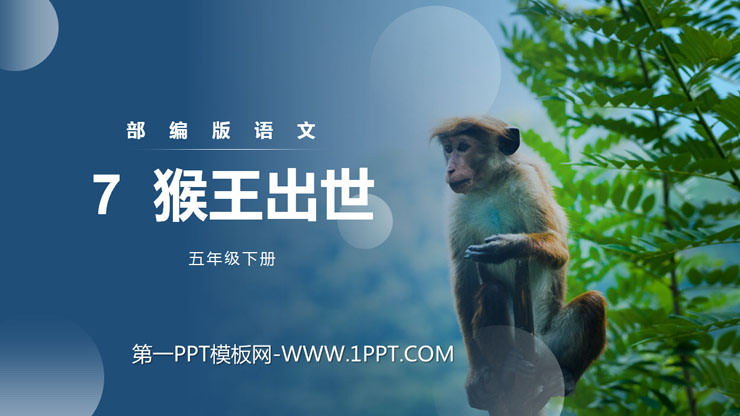 《猴王出世》PPT课件免费下载