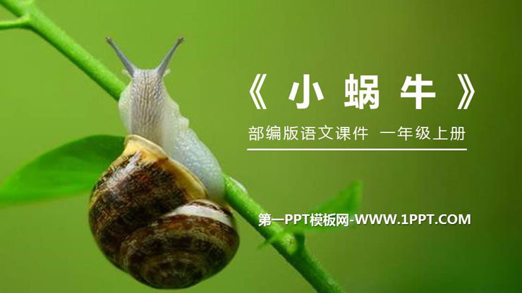 《小蜗牛》PPT免费课件