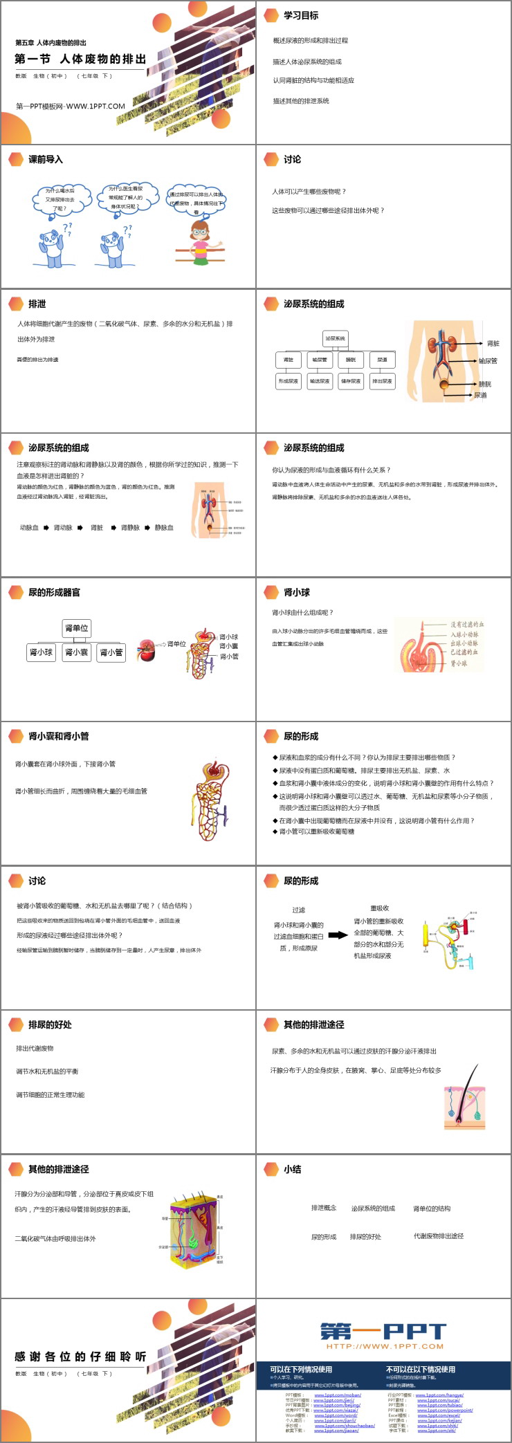 《人體廢物的排出》PPT精品課件