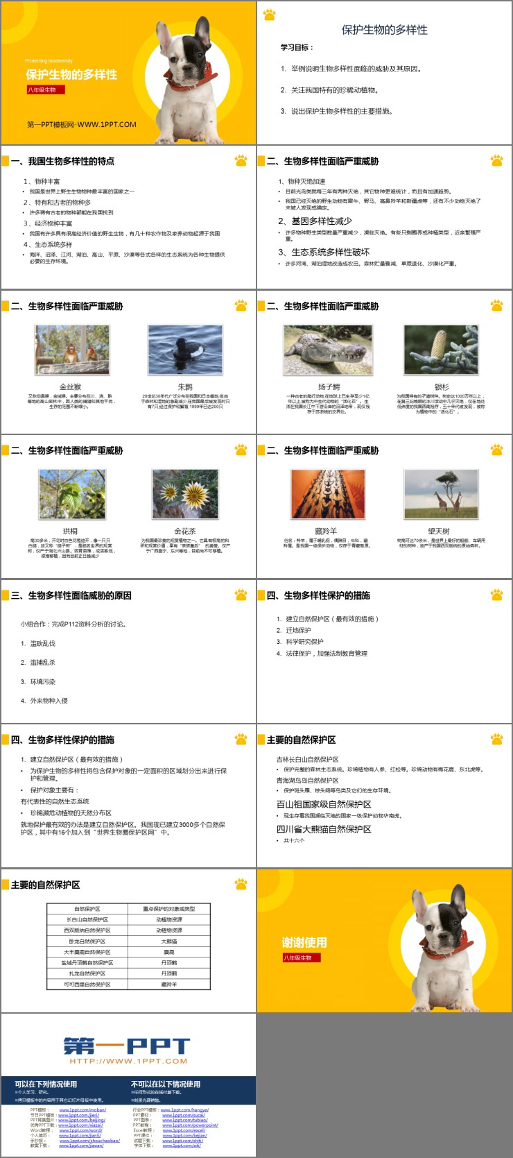 《保護生物的多樣性》PPT精品課件