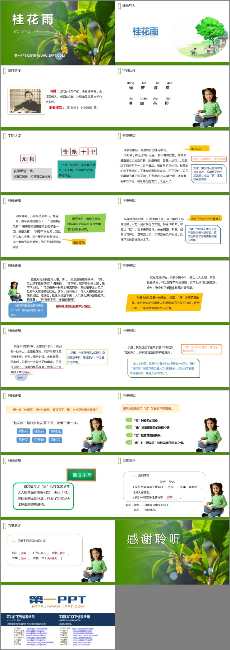 《桂花雨》PPT精品課件下載