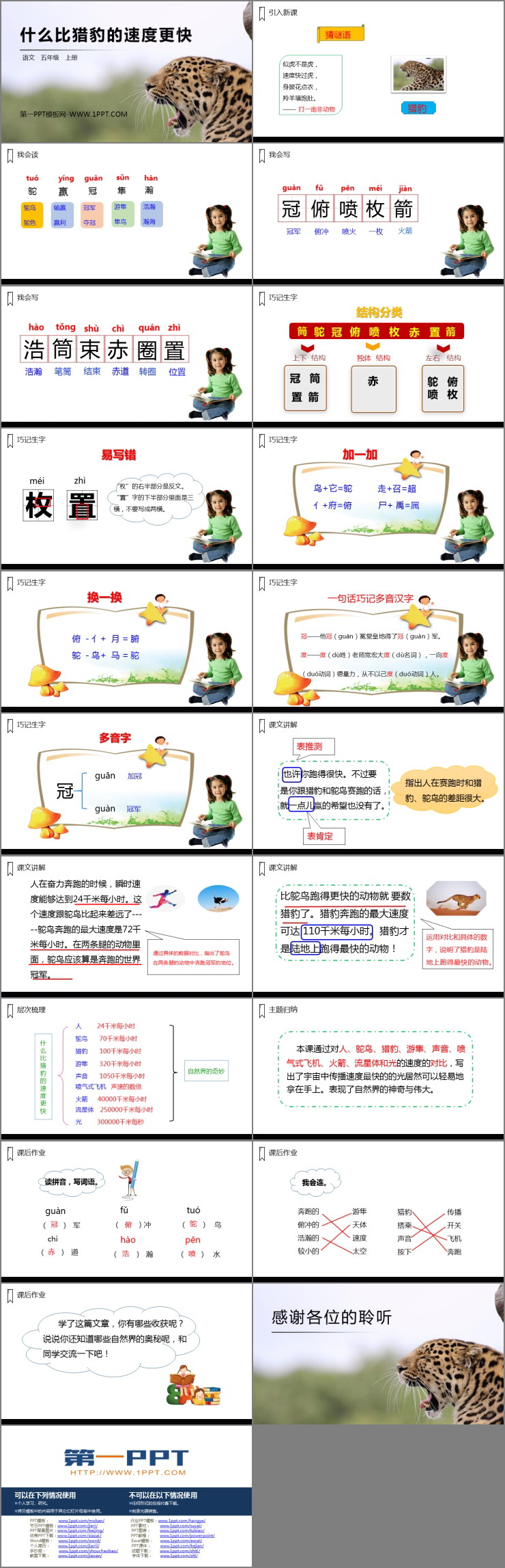 《什么比獵豹的速度更快》PPT精品課件