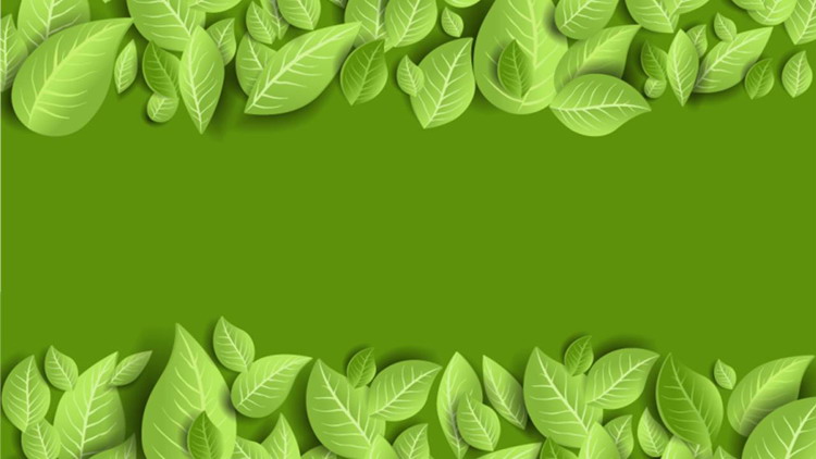 精致綠色UI風格植物葉子PPT背景圖片