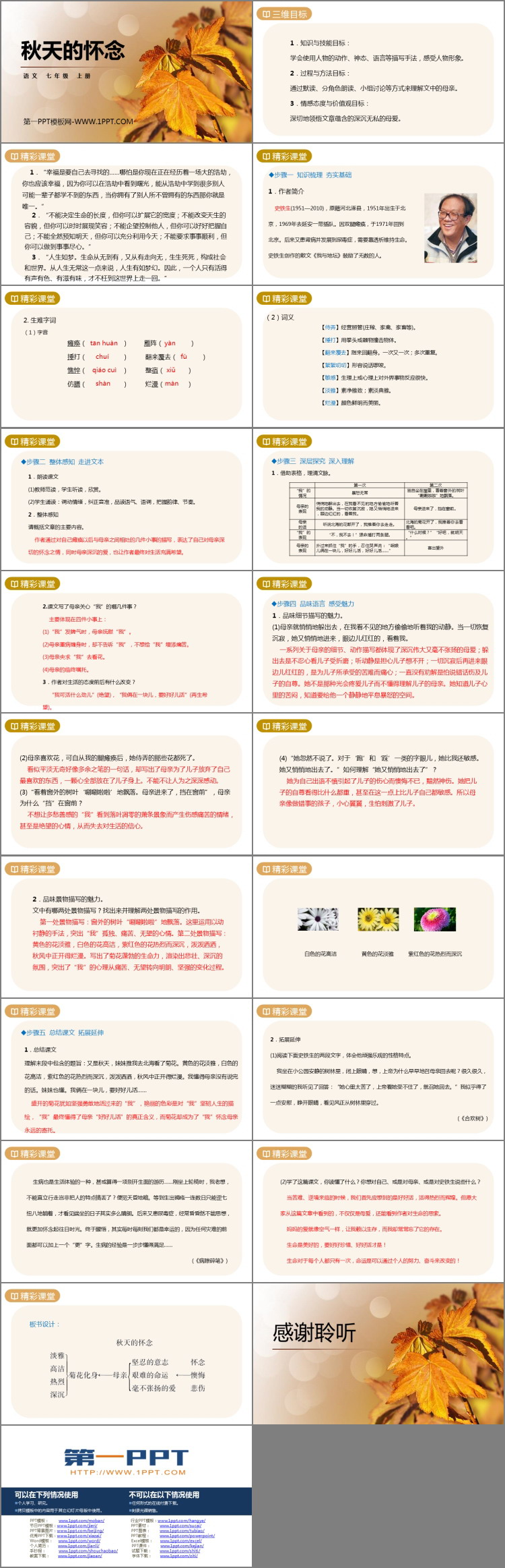 《秋天的懷念》PPT精品課件