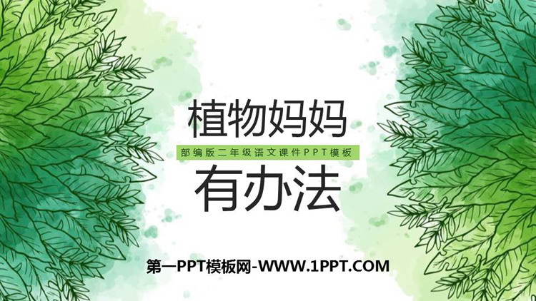《植物妈妈有办法》PPT免费课件下载
