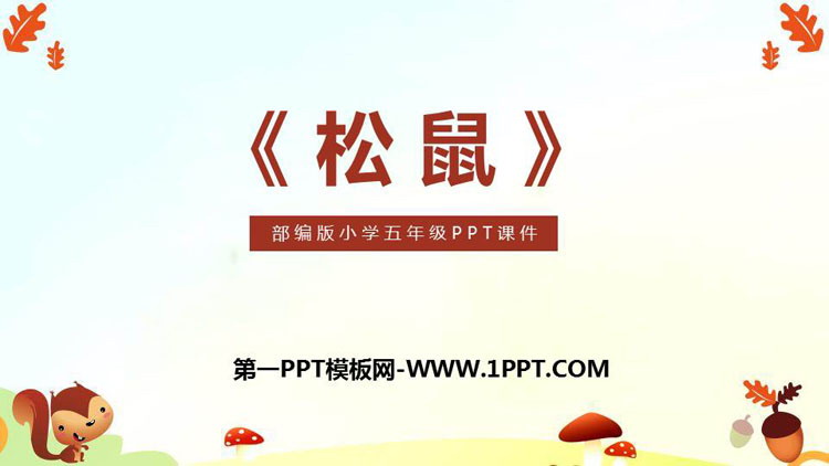 《松鼠》PPT精品课件免费下载