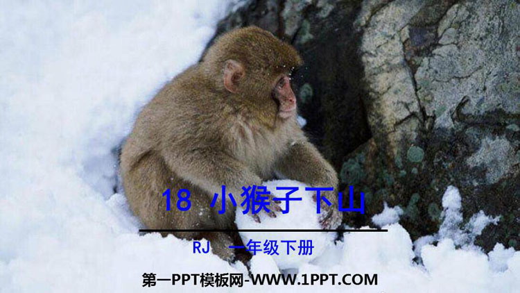 《小猴子下山》PPT精品课件