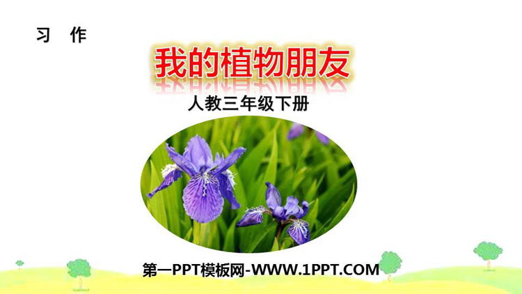 《我的植物朋友》PPT免费下载