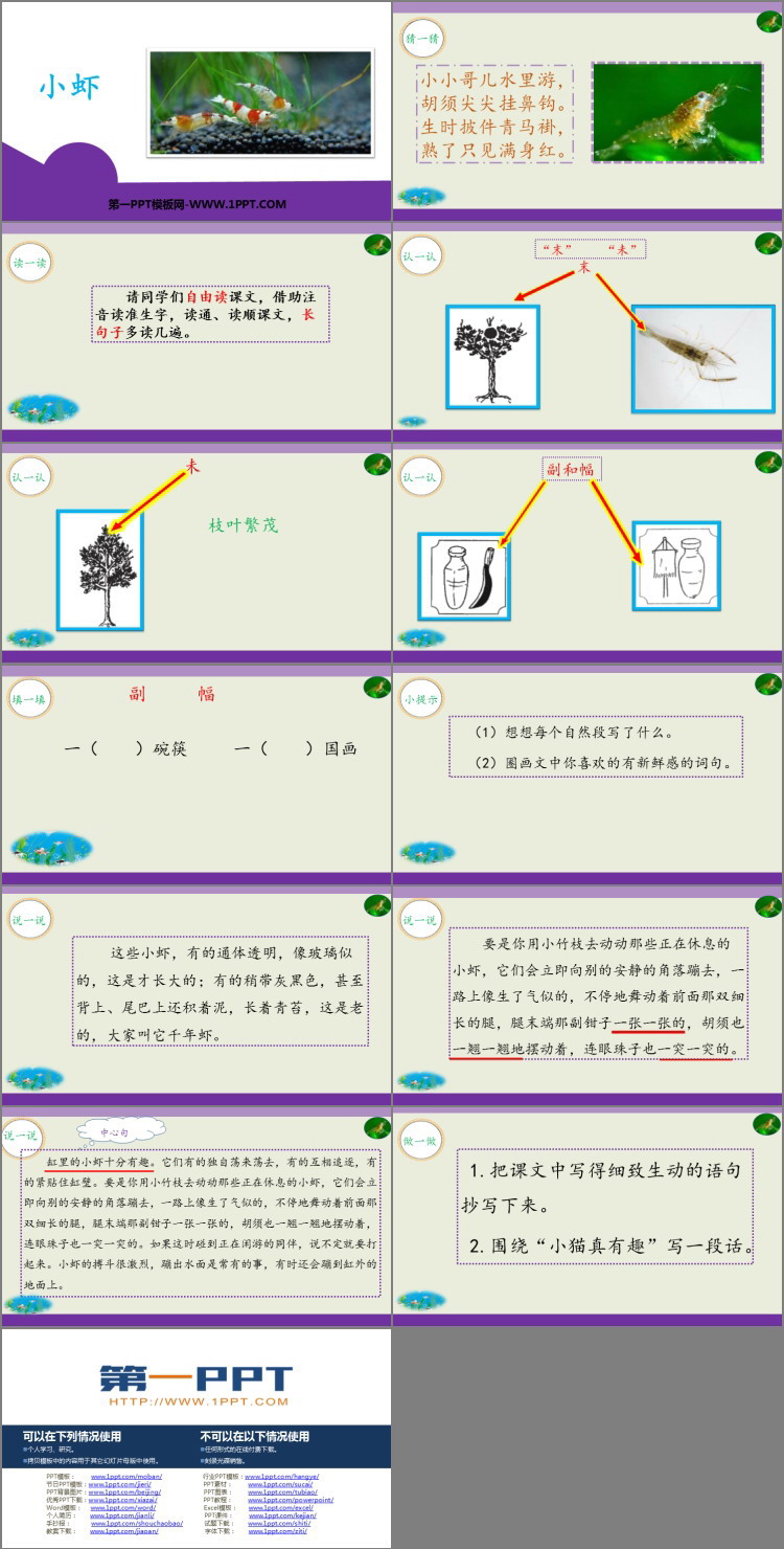 《小蝦》PPT優(yōu)質(zhì)課件