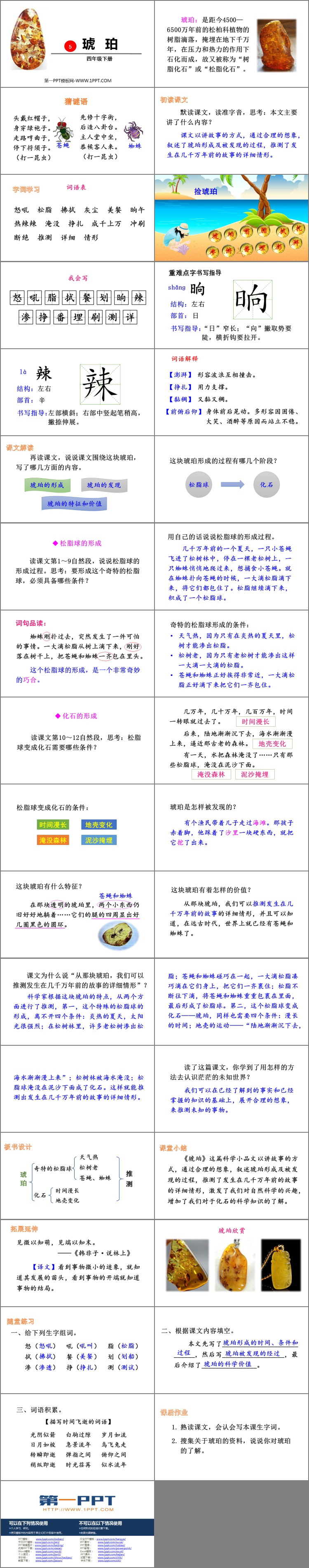 《琥珀》PPT教學(xué)課件