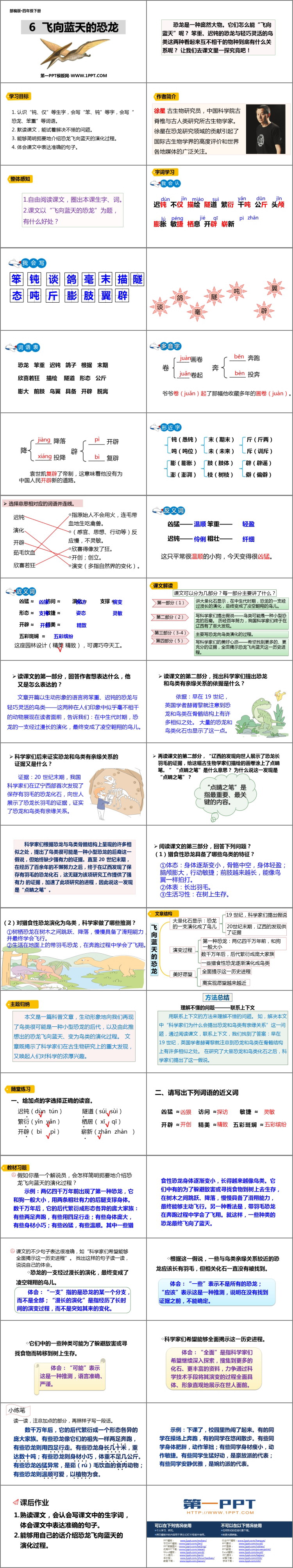 《飛向藍(lán)天的恐龍》PPT精品課件