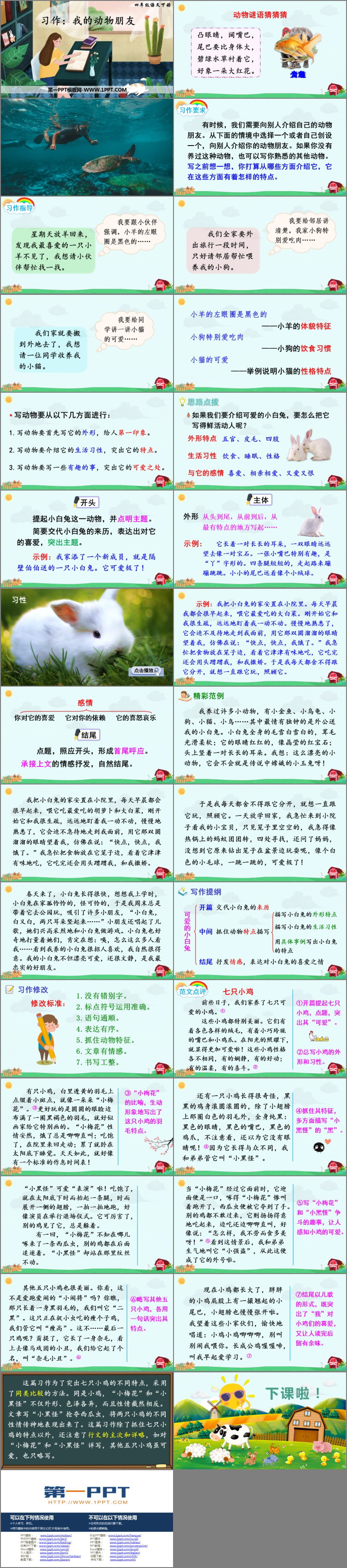 《我的動(dòng)物朋友》PPT教學(xué)課件