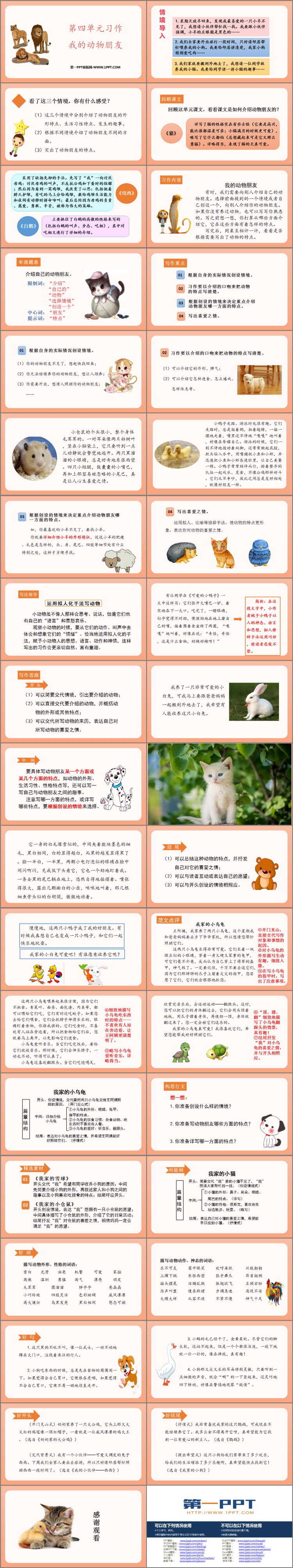 《我的動物朋友》PPT免費課件