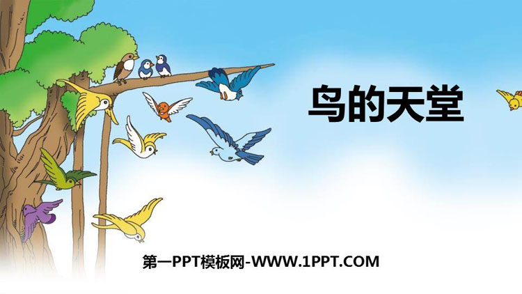 《鸟的天堂》PPT课件免费下载